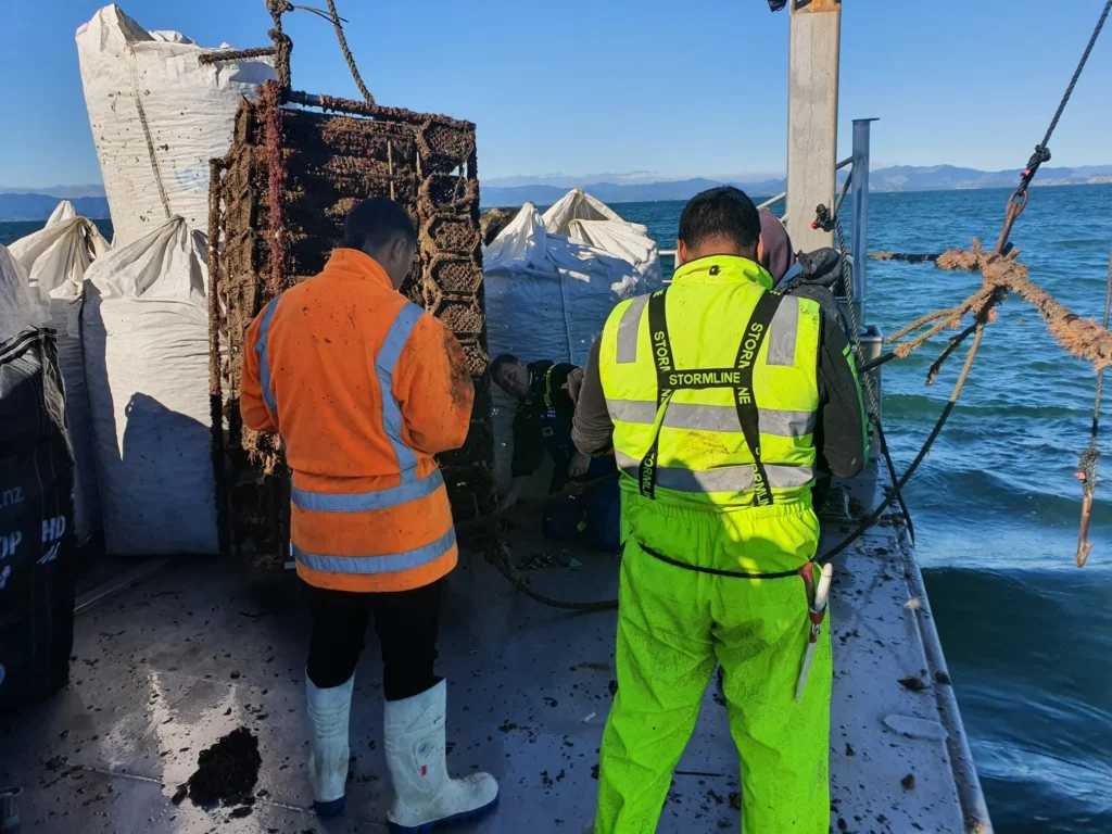 whakatohea crew helping with sampling oysters